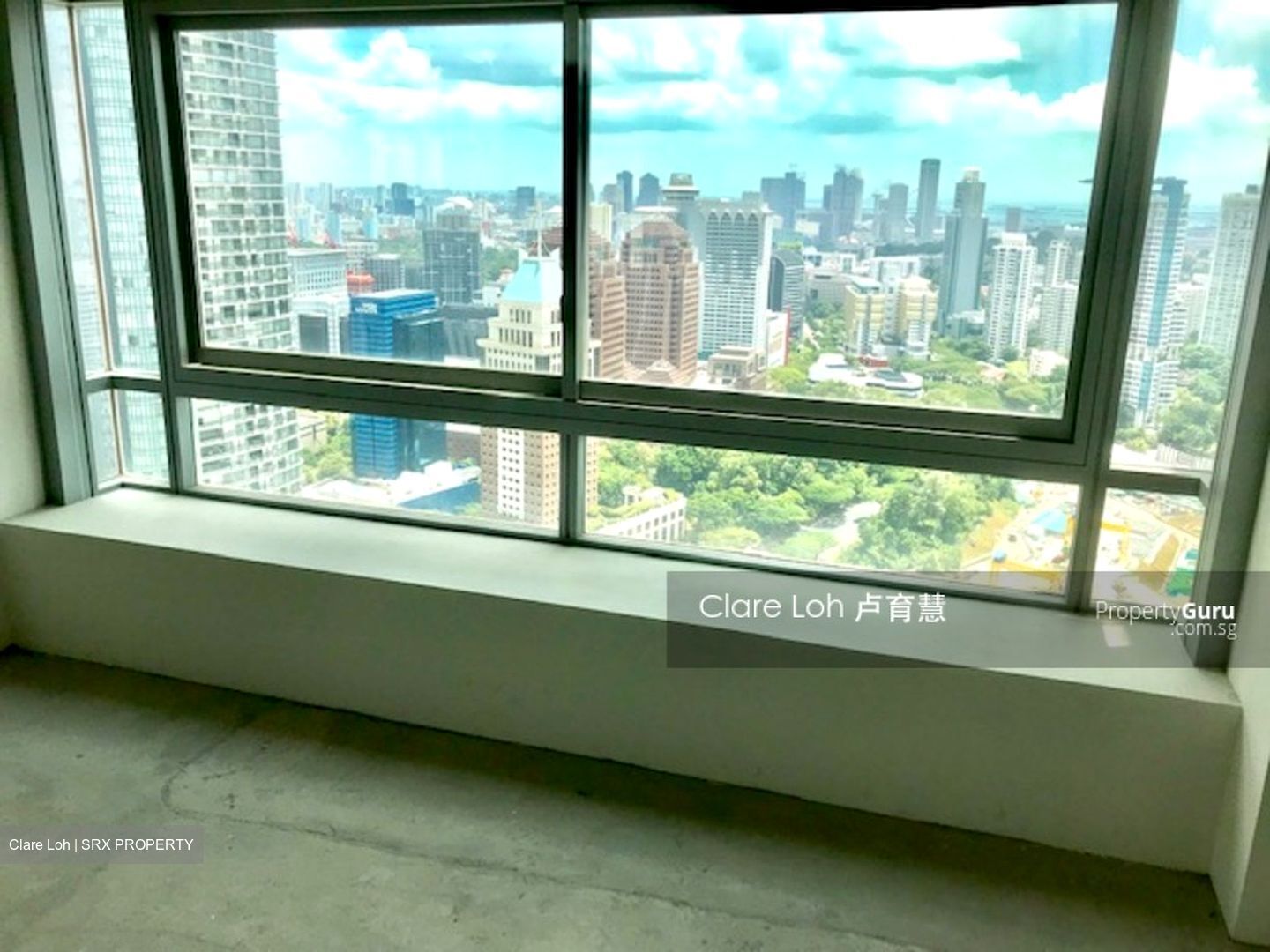 Skyline @ Orchard Boulevard (D9), Apartment #519808241
